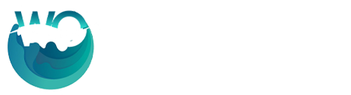 شرکت خدمات دیجیتال وبوشن، طراحی سایت و سئو